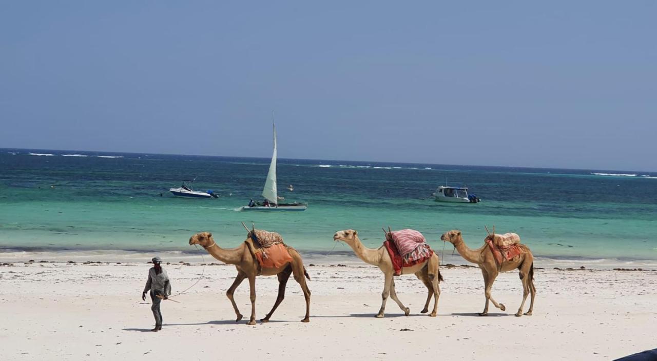 Asha Boutique Hotel Diani Beach Eksteriør billede